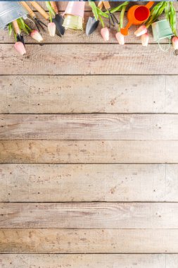 Bahçe aletleri ve çiçekler. 