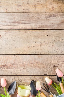 Bahçe aletleri ve çiçekler. 