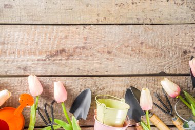 Bahçe aletleri ve çiçekler. 