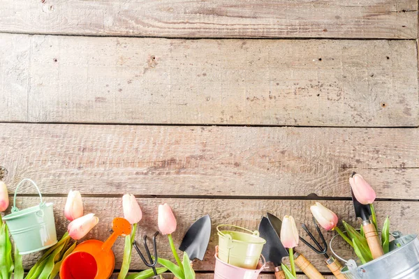 Bahçe aletleri ve çiçekler. 
