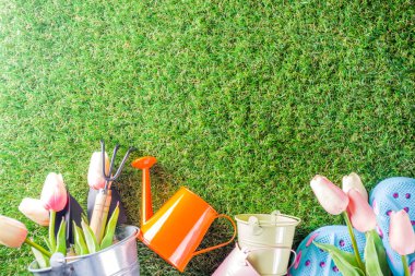 Bahçe aletleri ve çiçekler. 