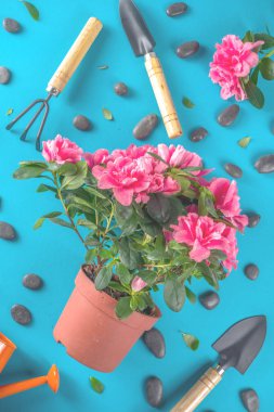 Home gardening flatlay