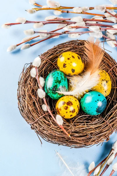 Pasen Achtergrond Met Vogelnesten Met Eieren Lentebloemen Kut Wilg Blauwe — Stockfoto