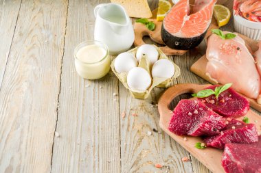 Hayvansal protein kaynakları - ham sığır eti biftek, tavuk göğsü fileto, somon balığı, yumurta, süt süt, karides, peynir, kopya alanı