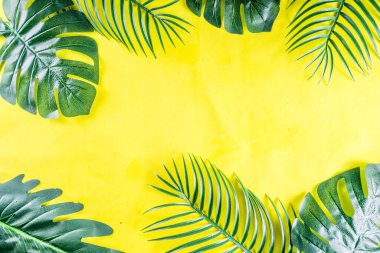 Tropikal arka plan. Palmiye ve monstera yaprakları sarı mavi zemin üzerine. Flatlay, üstten görünüm, minimal düzen, yaz konsepti