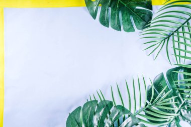 Tropikal arka plan. Palmiye ve monstera yaprakları sarı mavi zemin üzerine. Flatlay, üstten görünüm, minimal düzen, yaz konsepti