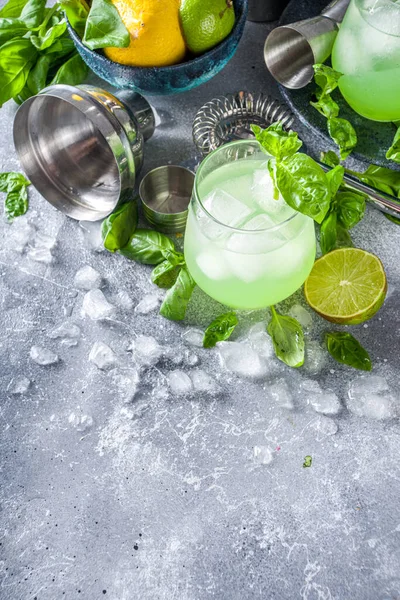 Basil Smash Gin Alcoholic Cocktail Long Alcohol Drink Recipe Fresh — Stock Photo, Image