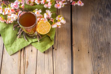 Hint Nannari şerbeti içeceği, ya da ferahlatıcı yaz limonata kokteyli, saparna kökü, nannari şurubu, otlar, narenciye ve baharatlar, ahşap arka plan kopyalama alanı.