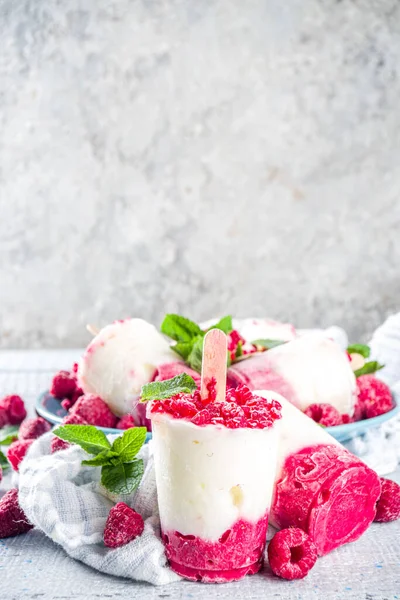 Сладкий Вкусный Летний Десерт Домашнее Малиновое Мороженое Малиной Мятой Здоровый — стоковое фото
