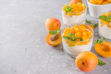 Yaz kahvaltısı tatlısı. Kayısı dilimleri ve naneli yoğurt ve sağlıklı tatlı. Sağlıklı beslenme, vitamin zengini tatlı yiyecekler, gri kayısı arka planında taze kayısılar, kopyalama alanı.