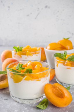 Yaz kahvaltısı tatlısı. Kayısı dilimleri ve naneli yoğurt ve sağlıklı tatlı. Sağlıklı beslenme, vitamin zengini tatlı yiyecekler, gri kayısı arka planında taze kayısılar, kopyalama alanı.