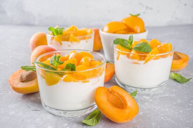 Yaz kahvaltısı tatlısı. Kayısı dilimleri ve naneli yoğurt ve sağlıklı tatlı. Sağlıklı beslenme, vitamin zengini tatlı yiyecekler, gri kayısı arka planında taze kayısılar, kopyalama alanı.