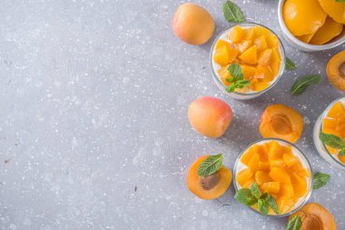 Yaz kahvaltısı tatlısı. Kayısı dilimleri ve naneli yoğurt ve sağlıklı tatlı. Sağlıklı beslenme, vitamin zengini tatlı yiyecekler, gri kayısı arka planında taze kayısılar, kopyalama alanı.