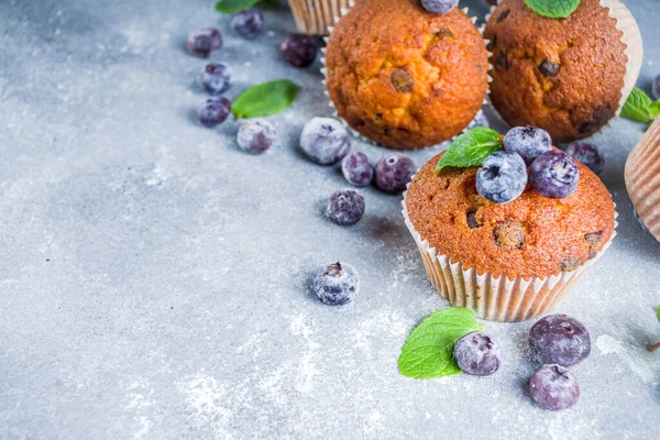 蓝莓松饼与新鲜浆果和薄荷 灰色石头或混凝土背景图 — 图库照片