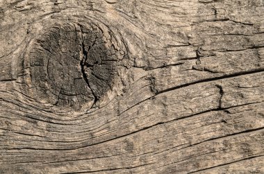 Tahta ahşap doku yakın çekim