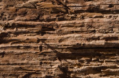 Gevşek doku çürümüş ağaç dikey arka plan, kahverengi renk