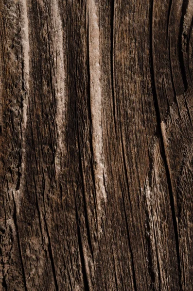 Ahşap doku nötr gri renk arka plan