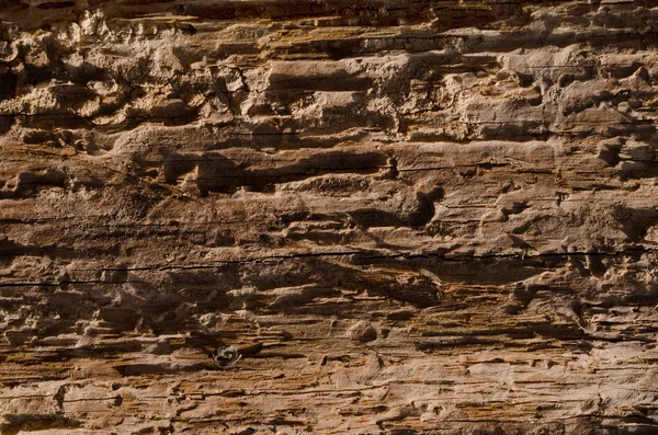 Loose texture of a rotten tree vertical background, brown color