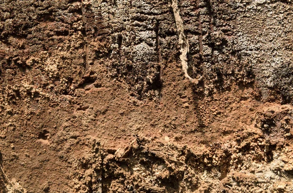 Clay texture, earth, daylight, brown