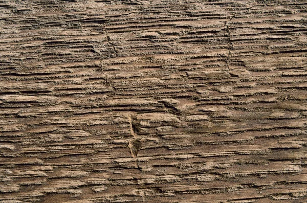 Tekstura Tło Gorizaoanthal Koloru Brązowego Drzewa — Zdjęcie stockowe