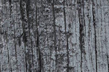 Ahşap doku mavi renk arka plan