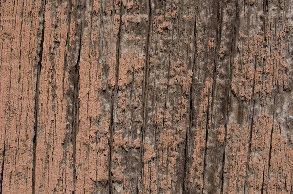 Texture of a wooden surface with old paint — Stock Photo, Image