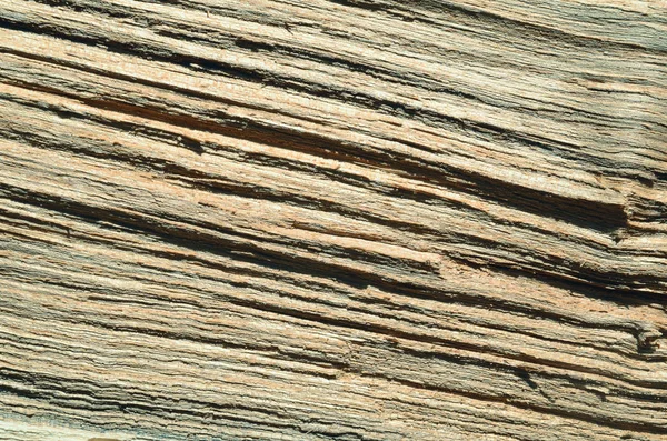 Texture wood board background — Stock Photo, Image