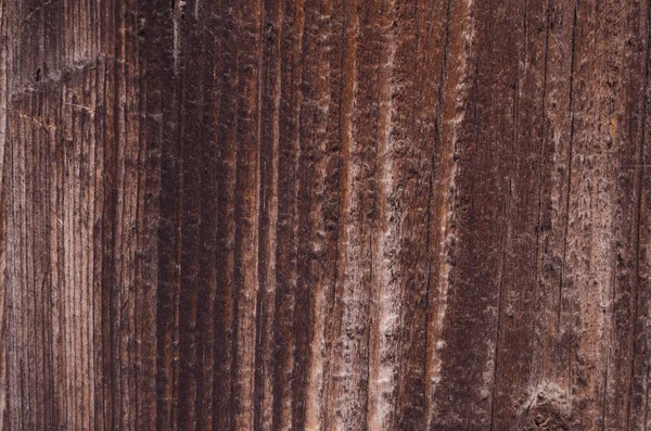 Natuurlijke hout patroon — Stockfoto