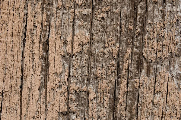 Texture of a wooden surface with old paint — Stock Photo, Image