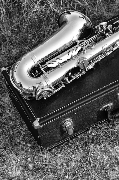 Saksofon leży na polu w przyrodzie — Zdjęcie stockowe