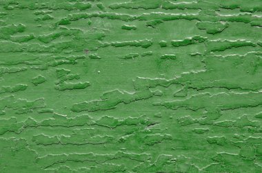 Yeşil doku ile ahşap üzerine boya lekeleri