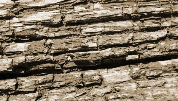 Textura de madera con pintura vieja marrón — Foto de Stock