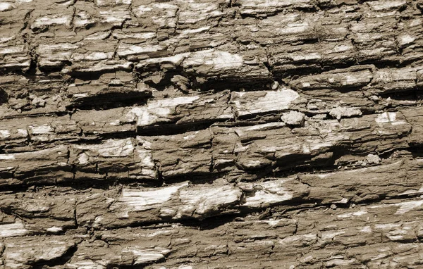 Деревянная Текстура Старыми Красками Коричневого Цвета Горизонтальные Линии Фон — стоковое фото