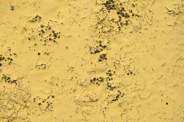 De textuur van de gele verf op de steen — Stockfoto
