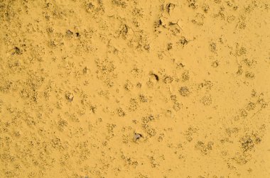 Beton doku sarı eski boya kırık taneler kadar aldı