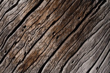 Doku derin dalgalı çatlaklar ile eski bir gri, çürümüş ahşap tahta olduğunu