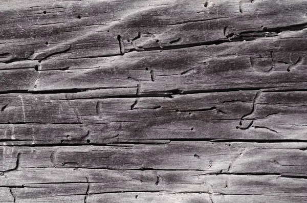 Tablero de madera gris con agujeros y grietas — Foto de Stock