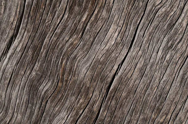 Oude grijze houten plank met scheuren. — Stockfoto