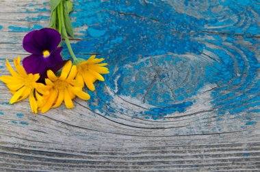 Taze calendula çiçek ve bir ahşap tahta üzerine Menekşe