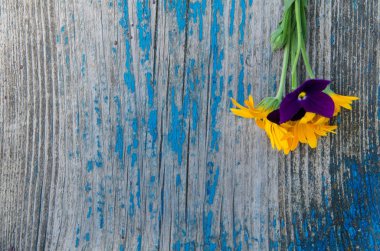 Bir eski ahşap boyalı mavi panosuna çatlaklar, doku taraftan küçük buket