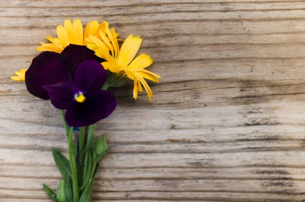 Çiçekler calendula ve üstüne yeni ahşap tahta sapı ile menekşeler