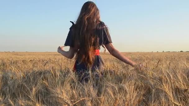 Молодая девушка ходит в спелой пшенице — стоковое видео
