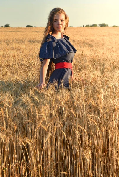 En vacker ung kvinna med långt hår står i fältet vete — Stockfoto