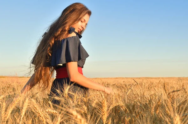 어린 소녀는 호 밀의 귀 중 산책 — 스톡 사진
