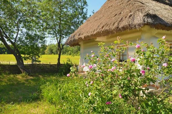 Ukrainische Hütte im Dorf der Weinlese — Stockfoto