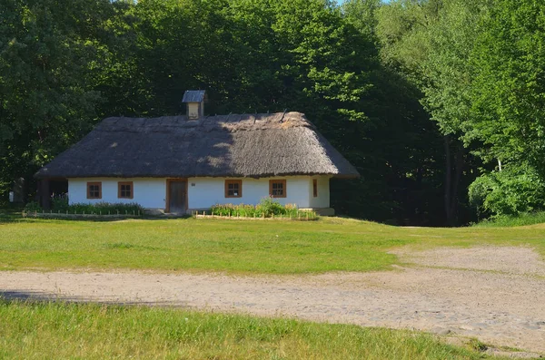 Ukraiński dużych hut z słomiany dach i okna drewniane — Zdjęcie stockowe