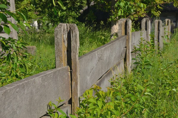 Valla Sólida Madera Sin Pulir Las Tablas Hierba Verde Alta —  Fotos de Stock