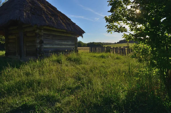 A small house of solid wooden logs with a straw roof — Stock Photo, Image