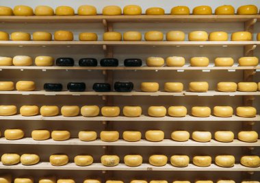 Hollanda peynir dükkanı penceresi