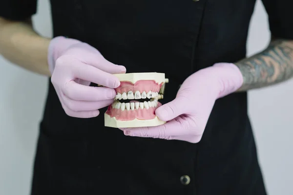 Modelo dental de mandíbula . —  Fotos de Stock
